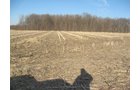 Property photo 3 - 44 Acres Offered in 3 Tracts